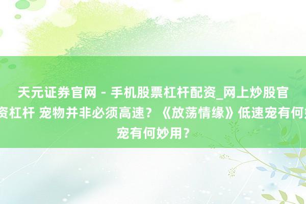 天元证券官网 - 手机股票杠杆配资_网上炒股官网配资杠杆 宠物并非必须高速？《放荡情缘》低速宠有何妙用？