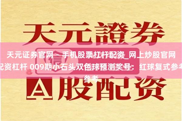 天元证券官网 - 手机股票杠杆配资_网上炒股官网配资杠杆 009期小石头双色球预测奖号：红球复式参考