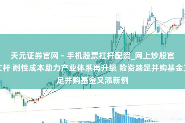 天元证券官网 - 手机股票杠杆配资_网上炒股官网配资杠杆 耐性成本助力产业体系再升级 险资踏足并购基金又添新例