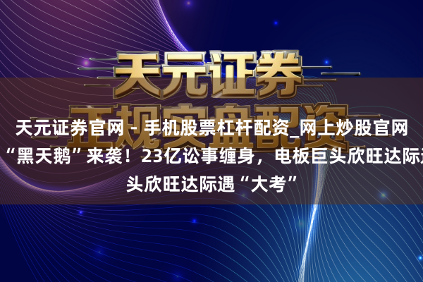 天元证券官网 - 手机股票杠杆配资_网上炒股官网配资杠杆 “黑天鹅”来袭！23亿讼事缠身，电板巨头欣旺达际遇“大考”