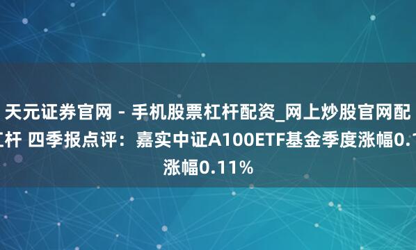 天元证券官网 - 手机股票杠杆配资_网上炒股官网配资杠杆 四季报点评:嘉实中证A100ETF基金季度涨幅0.11%