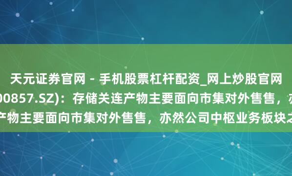 天元证券官网 - 手机股票杠杆配资_网上炒股官网配资杠杆 协创数据(300857.SZ)：存储关连产物主要面向市集对外售售，亦然公司中枢业务板块之一