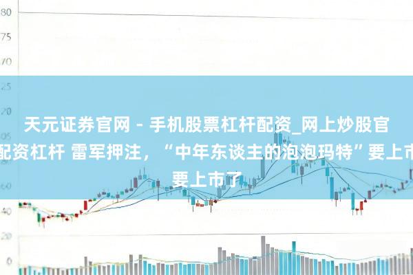 天元证券官网 - 手机股票杠杆配资_网上炒股官网配资杠杆 雷军押注，“中年东谈主的泡泡玛特”要上市了