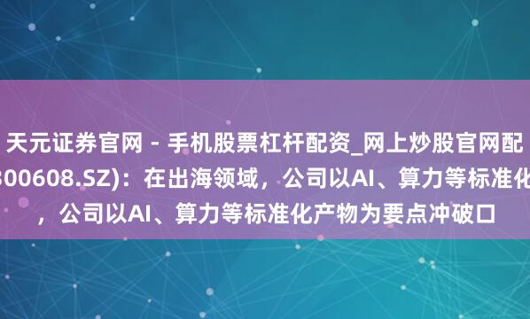 天元证券官网 - 手机股票杠杆配资_网上炒股官网配资杠杆 念念特奇(300608.SZ)：在出海领域，公司以AI、算力等标准化产物为要点冲破口
