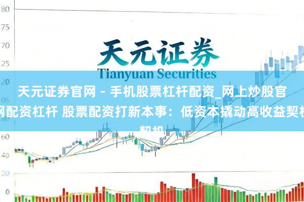 天元证券官网 - 手机股票杠杆配资_网上炒股官网配资杠杆 股票配资打新本事：低资本撬动高收益契机