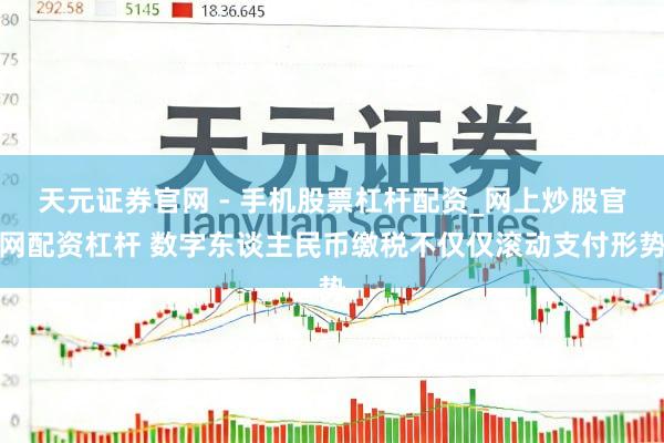 天元证券官网 - 手机股票杠杆配资_网上炒股官网配资杠杆 数字东谈主民币缴税不仅仅滚动支付形势