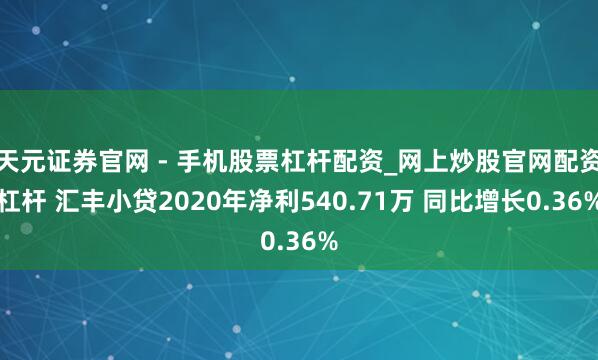 天元证券官网 - 手机股票杠杆配资_网上炒股官网配资杠杆 汇丰小贷2020年净利540.71万 同比增长0.36%