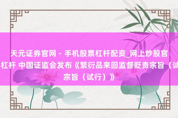 天元证券官网 - 手机股票杠杆配资_网上炒股官网配资杠杆 中国证监会发布《繁衍品来回监督贬责宗旨（试行）》