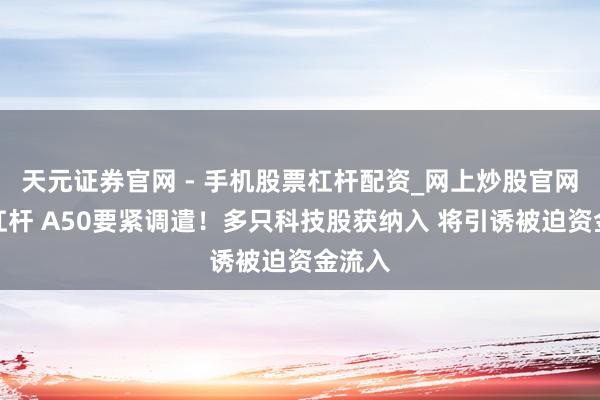 天元证券官网 - 手机股票杠杆配资_网上炒股官网配资杠杆 A50要紧调遣！多只科技股获纳入 将引诱被迫资金流入