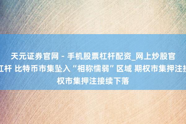 天元证券官网 - 手机股票杠杆配资_网上炒股官网配资杠杆 比特币市集坠入“相称懦弱”区域 期权市集押注接续下落