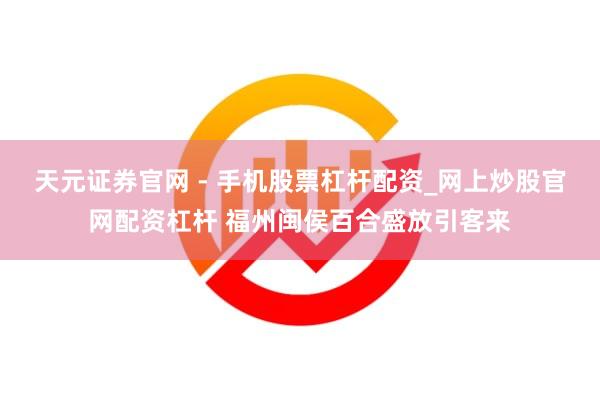 天元证券官网 - 手机股票杠杆配资_网上炒股官网配资杠杆 福州闽侯百合盛放引客来