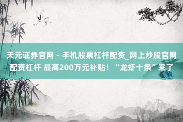 天元证券官网 - 手机股票杠杆配资_网上炒股官网配资杠杆 最高200万元补贴！“龙虾十条”来了
