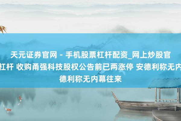 天元证券官网 - 手机股票杠杆配资_网上炒股官网配资杠杆 收购甬强科技股权公告前已两涨停 安德利称无内幕往来