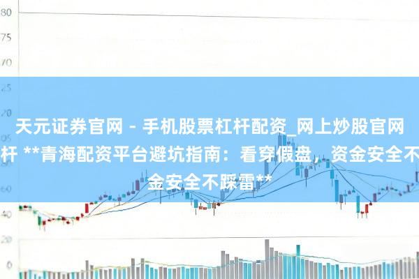 天元证券官网 - 手机股票杠杆配资_网上炒股官网配资杠杆 **青海配资平台避坑指南：看穿假盘，资金安全不踩雷**